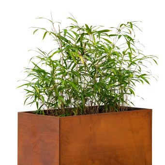 Bloembak cortenstaal Hudson 60x120x60cm