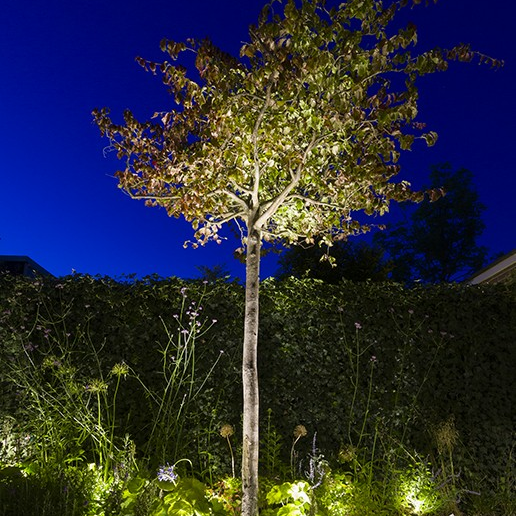 In-Lite Big Flux (Without Ring)