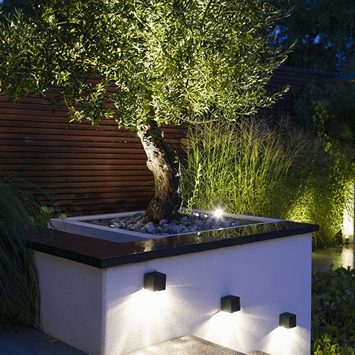 In-Lite Cubid Rosé Silver