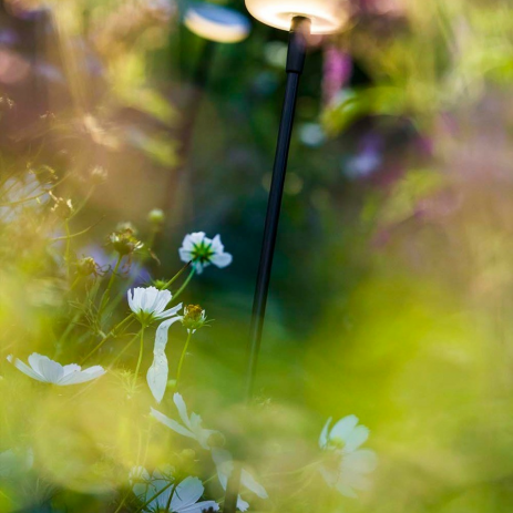 In-Lite Sway Tube