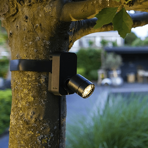 In-Lite Brace