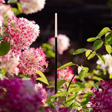 In-Lite Breeze