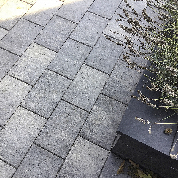 Premiton Linea 20x30x6 cm Lanzarote