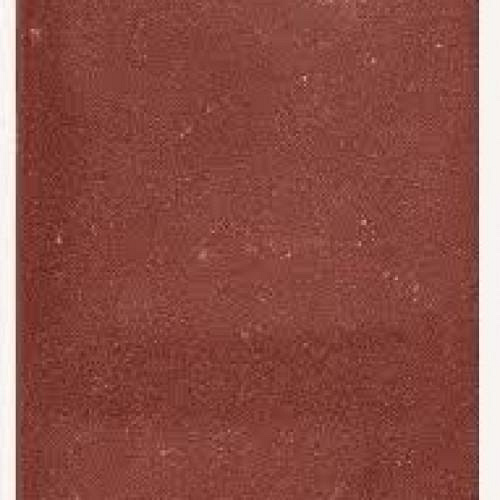 Tegel 30x30x4,5 cm rood met pallet (4x4x4) (120 stuks per pak)