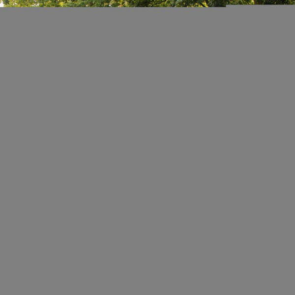 Plantenbak Modulair Antraciet 150x90x56 cm