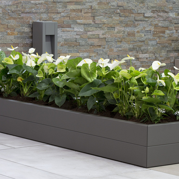 Plantenbak Modulair Taupe 180x30x28 cm