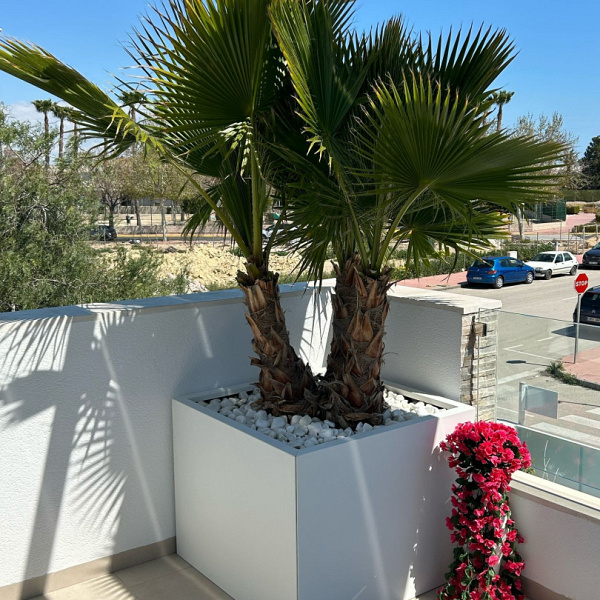 Plantenbak Vlak Wit 300x90x60 cm
