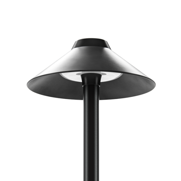 In-Lite Nail