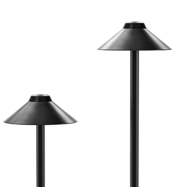 In-Lite Nail