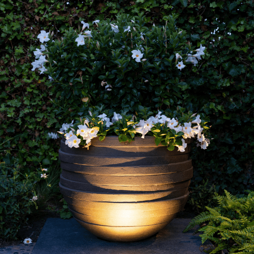 In-Lite Luna Pearl Grey