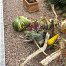 graniet split rood 16 22 mm   20 kg verpakking