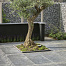 blue moon honed anticato 60x60x2 5 cm