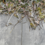 geoceramica 60x30x4 timber grigio