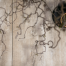 geoceramica 120x30x4 timber tortera