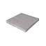 schellevis oud hollandse tegel 50x50x5 cm grijs