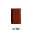 in lite ace down 100 230v corten
