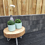 pallatico muurblock reli f 15x15x60 cm nero grey