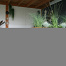 bloembak modulair   corten 300x150x56 cm