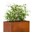 Bloembak cortenstaal Hudson 60x120x60cm
