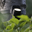 In-Lite Brace