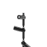 In-Lite Aim