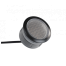 In-Lite Hyve Black