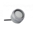 In-Lite Fusion (Without Ring)