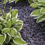 Canadian Slate Violet 10-30 mm - 20 kg verpakking