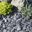 Canadian Slate Grijs/Blauw 30-60 mm - 20 kg verpakking