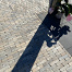 Stonique trommel waalformaat 7 cm musselkalk