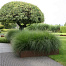 Borderpaneel flex 220x42 - CORTEN