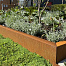 Uprofiel ongelijkzijdig opsluitband 6cm 300x4,6x19,6x6,4 - CORTEN