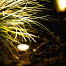 Hamulight OutdoorPro+ Grondspots Peral