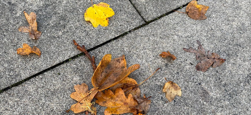 158 img 5550   klein