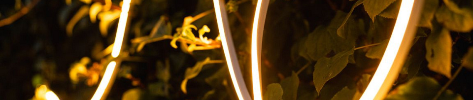 Hamulight Strips